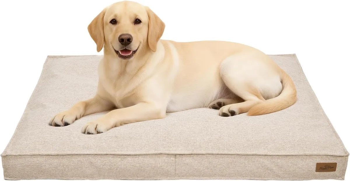 Letto Fresco XL per Cani in Lino Sfoderabile e Lavabile